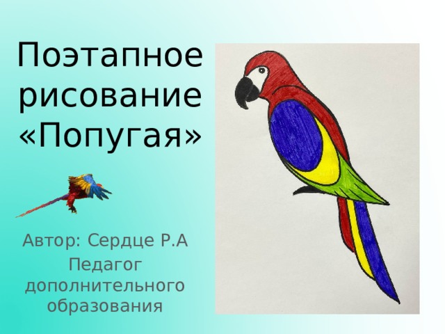 Поэтапное рисование «Попугая» Автор: Сердце Р.А Педагог дополнительного образования 
