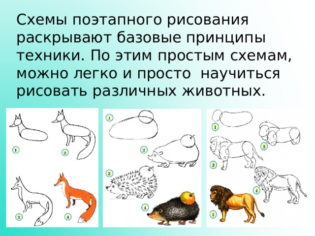 Схемы поэтапного рисования раскрывают базовые принципы техники. По этим простым схемам, можно легко и просто  научиться рисовать различных животных. 