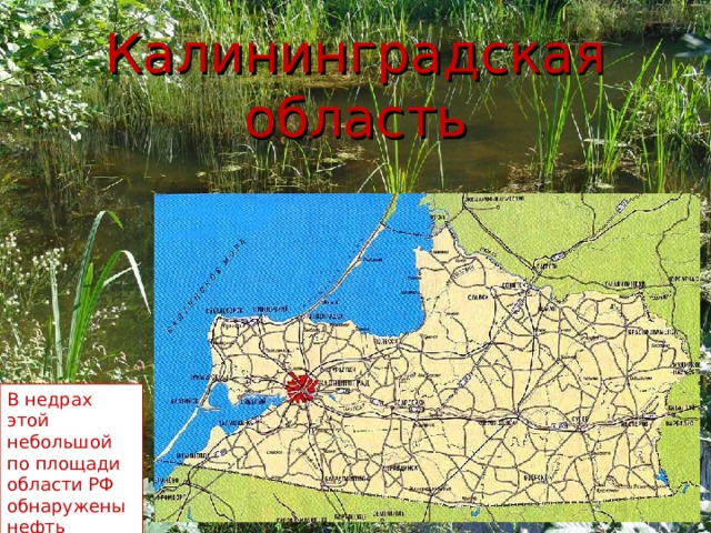 Калининградская область В недрах этой небольшой по площади области РФ обнаружены нефть  