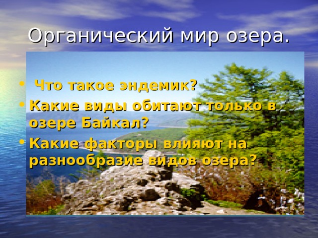 Органический мир озера.  Что такое эндемик? Какие виды обитают только в озере Байкал? Какие факторы влияют на разнообразие видов озера? 