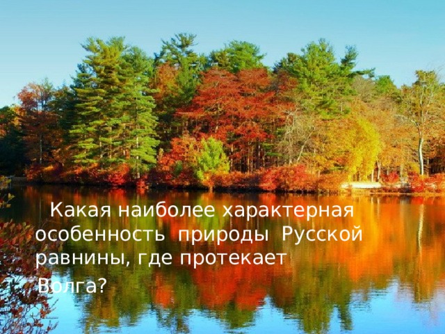  Какая наиболее характерная особенность природы Русской равнины, где протекает  Волга? 
