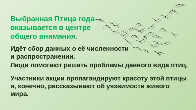 Выбранная Птица года оказывается в центре общего внимания. Идёт сбор данных о её численности и распространении. Люди помогают решать проблемы данного вида птиц. Участники акции пропагандируют красоту этой птицы и, конечно, рассказывают об уязвимости живого мира. 