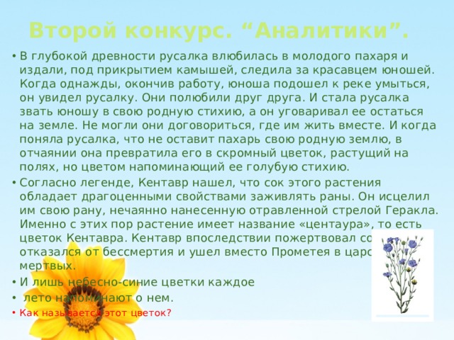 Второй конкурс. “Аналитики”.    В глубокой древности русалка влюбилась в молодого пахаря и издали, под прикрытием камышей, следила за красавцем юношей. Когда однажды, окончив работу, юноша подошел к реке умыться, он увидел русалку. Они полюбили друг друга. И стала русалка звать юношу в свою родную стихию, а он уговаривал ее остаться на земле. Не могли они договориться, где им жить вместе. И когда поняла русалка, что не оставит пахарь свою родную землю, в отчаянии она превратила его в скромный цветок, растущий на полях, но цветом напоминающий ее голубую стихию. Согласно легенде, Кентавр нашел, что сок этого растения обладает драгоценными свойствами заживлять раны. Он исцелил им свою рану, нечаянно нанесенную отравленной стрелой Геракла. Именно с этих пор растение имеет название «центаура», то есть цветок Кентавра. Кентавр впоследствии пожертвовал собой, отказался от бессмертия и ушел вместо Прометея в царство мертвых. И лишь небесно-синие цветки каждое  лето напоминают о нем. Как называется этот цветок? 