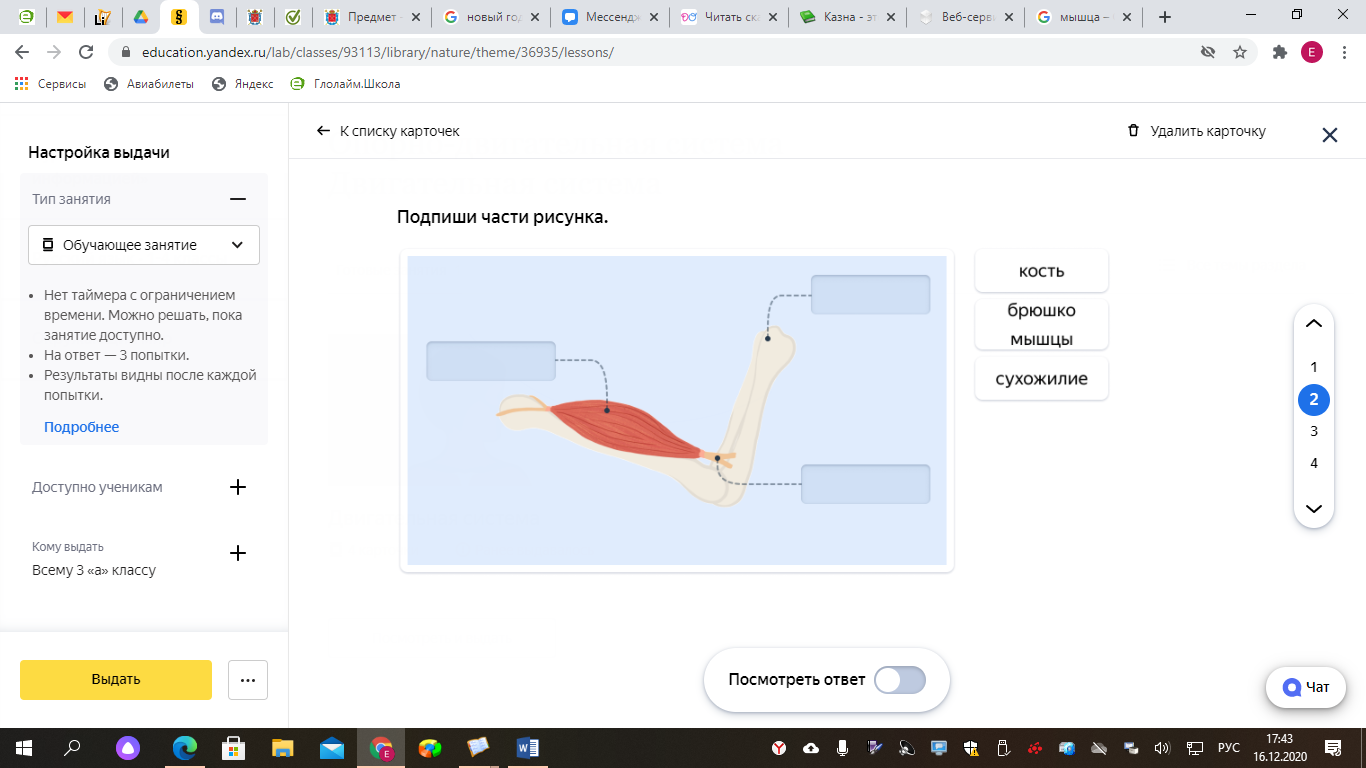 Проверочная работа по окружающему миру УМК Школа России 3 класс