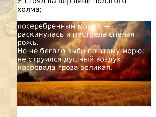 Я стоял на вершине пологого холма;  передо мною — то золотым, то посеребренным морем — раскинулась и пестрела спелая рожь.  Но не бегало зыби по этому морю; не струился душный воздух: назревала гроза великая. 