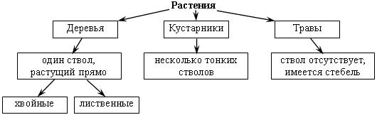 Технологическая карта урока 3 класс разнообразие растений