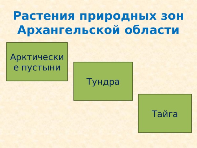 Растения природных зон Архангельской области Арктические пустыни Тундра Тайга 