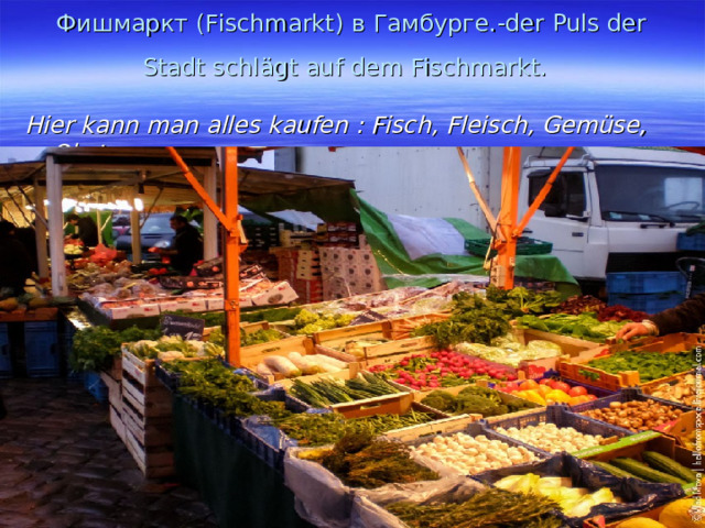 Фишмаркт (Fischmarkt) в Гамбурге. -der Puls der Stadt schlägt auf dem Fischmarkt.    Hier kann man alles kaufen : Fisch, Fleisch, Gemüse, Obst. 