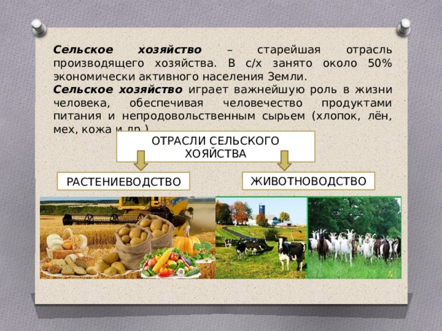 Определение сельскохозяйственная продукция