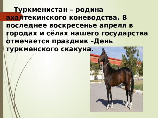  Туркменистан – родина ахалтекинского коневодства. В последнее воскресенье апреля в городах и сёлах нашего государства отмечается праздник –День туркменского скакуна. 