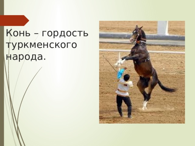 Конь – гордость туркменского народа. 