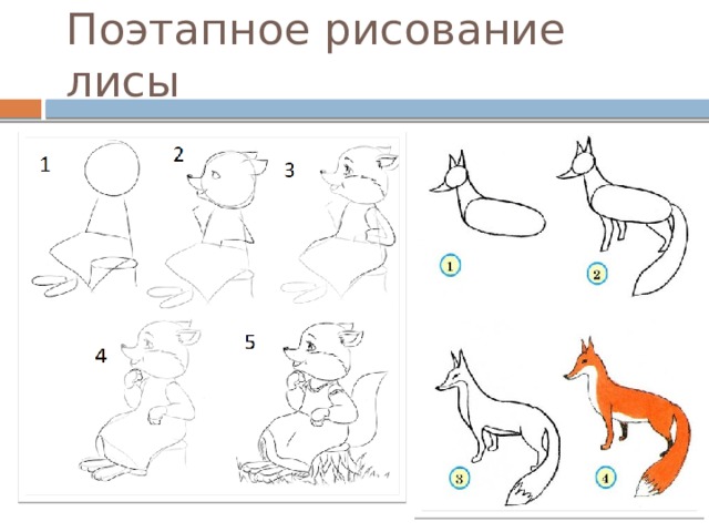 Поэтапное рисование по фото онлайн