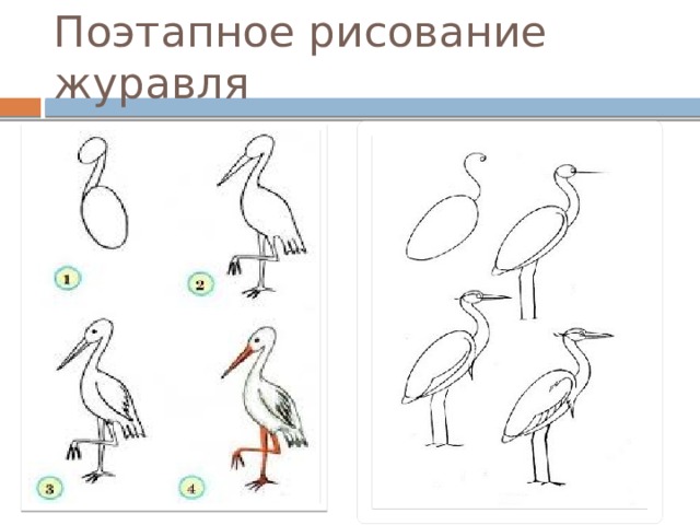 Поэтапное рисование журавля 