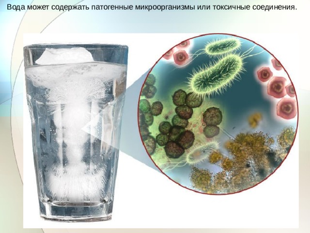 Вода может содержать патогенные микроорганизмы или токсичные соединения. 