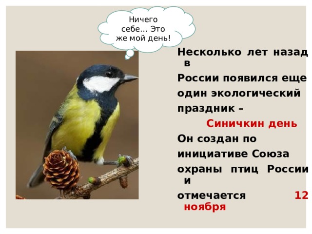 синичкин день в библиотеке. Смотреть фото синичкин день в библиотеке. Смотреть картинку синичкин день в библиотеке. Картинка про синичкин день в библиотеке. Фото синичкин день в библиотеке