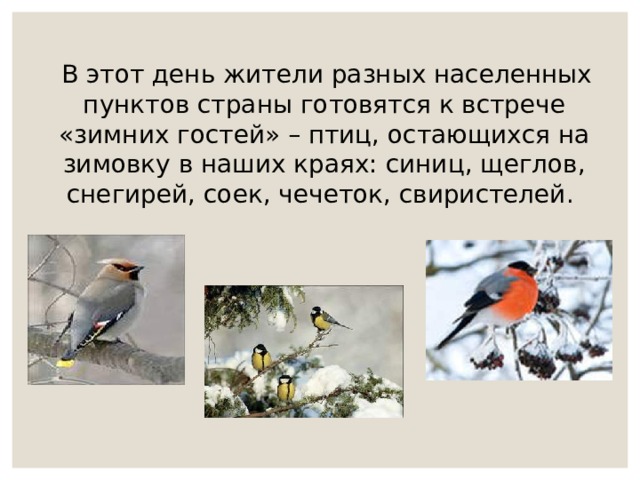 синичкин день в библиотеке. Смотреть фото синичкин день в библиотеке. Смотреть картинку синичкин день в библиотеке. Картинка про синичкин день в библиотеке. Фото синичкин день в библиотеке