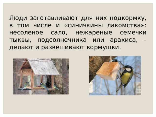 синичкин день в библиотеке. Смотреть фото синичкин день в библиотеке. Смотреть картинку синичкин день в библиотеке. Картинка про синичкин день в библиотеке. Фото синичкин день в библиотеке