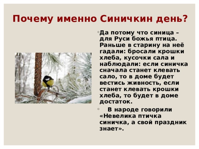 синичкин день в библиотеке. Смотреть фото синичкин день в библиотеке. Смотреть картинку синичкин день в библиотеке. Картинка про синичкин день в библиотеке. Фото синичкин день в библиотеке