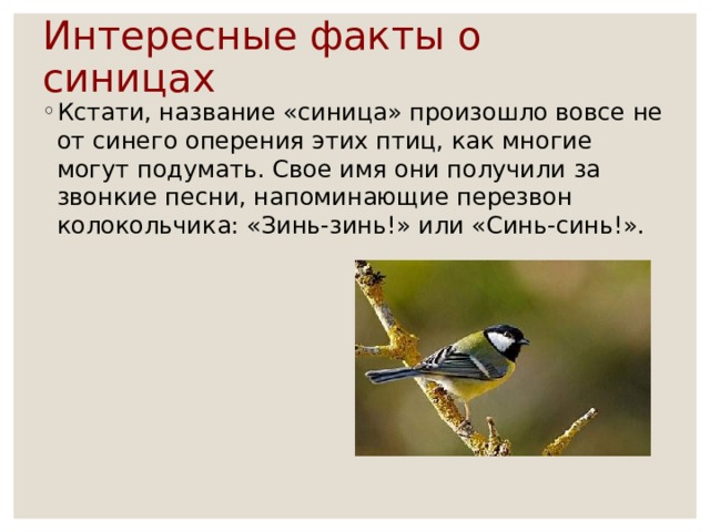 синичкин день в библиотеке. Смотреть фото синичкин день в библиотеке. Смотреть картинку синичкин день в библиотеке. Картинка про синичкин день в библиотеке. Фото синичкин день в библиотеке
