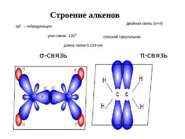 Строение алкенов двойная связь (σ+π) sp 2  – гибридизация  угол связи 120 ° плоский треугольник длина связи 0,134 нм   σ-связь π -связь  