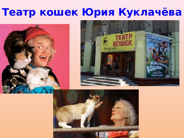Театр кошек Юрия Куклачёва 