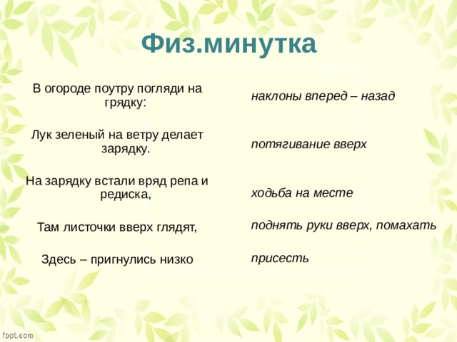 Физ.минутка В огороде поутру погляди на грядку: Лук зеленый на ветру делает зарядку. На зарядку встали вряд репа и редиска, Там листочки вверх глядят, Здесь – пригнулись низко наклоны вперед – назад   потягивание вверх   ходьба на месте  поднять руки вверх, помахать                       присесть    