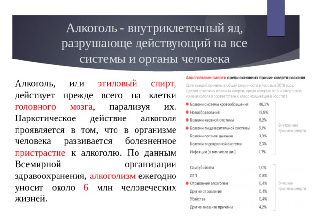 Алкоголь - внутриклеточный яд, разрушающе действующий на все системы и органы человека Алкоголь, или этиловый спирт , действует прежде всего на клетки головного мозга , парализуя их. Наркотическое действие алкоголя проявляется в том, что в организме человека развивается болезненное пристрастие к алкоголю. По данным Всемирной организации здравоохранения, алкоголизм ежегодно уносит около 6 млн человеческих жизней. 