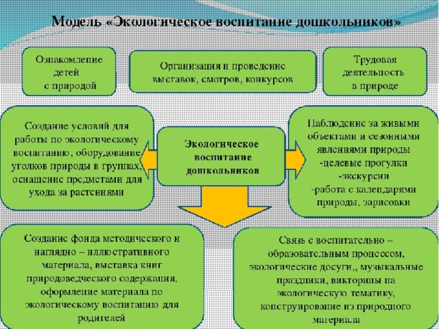 Экологическое воспитание в детском саду презентация