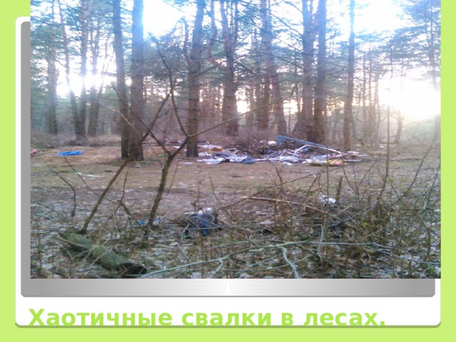 Хаотичные свалки в лесах. 