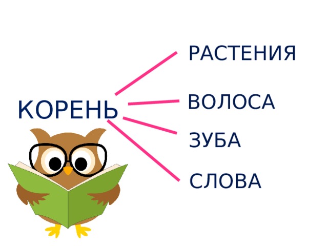 Проект по русскому языку корень слова Презентация к уроку русского языка "Корень слова. Однокоренные слова"