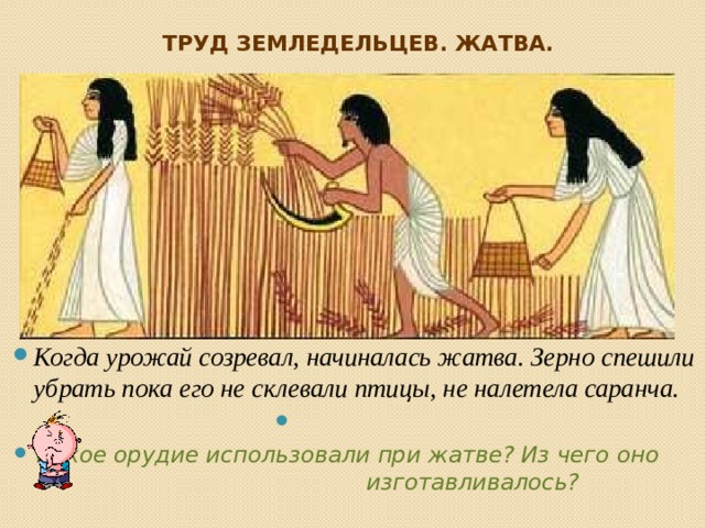 Труд земледельцев. Жатва. Когда урожай созревал, начиналась жатва. Зерно спешили убрать пока его не склевали птицы, не налетела саранча. Какое орудие использовали при жатве? Из чего оно изготавливалось? 