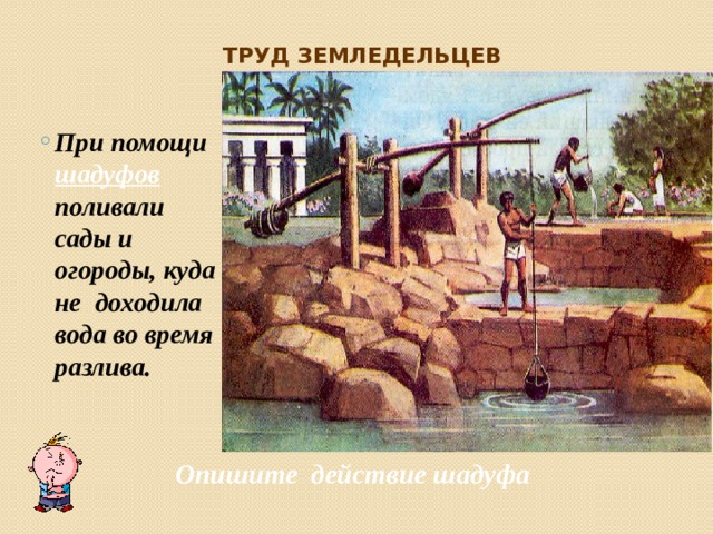 Труд земледельцев При помощи шадуфов поливали сады и огороды, куда не доходила вода во время разлива. При помощи шадуфов поливали сады и огороды, куда не доходила вода во время разлива. Опишите действие шадуфа 