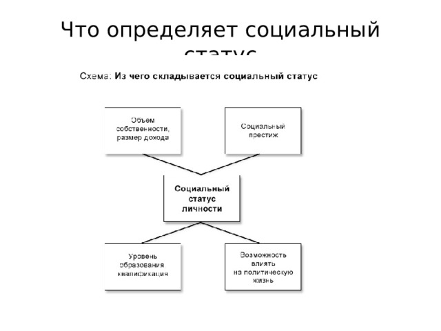 Что определяет социальный статус 
