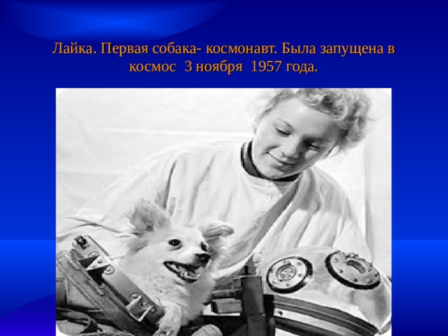 Лайка. Первая собака- космонавт. Была запущена в космос 3 ноября 1957 года. 