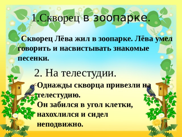 1.Скворец в зоопарке.  Скворец Лёва жил в зоопарке. Лёва умел говорить и насвистывать знакомые песенки. 2. На телестудии. Однажды скворца привезли на телестудию.  Он забился в угол клетки, нахохлился и сидел неподвижно. 