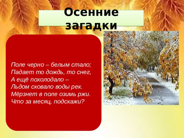 Осенние загадки  ноябрь Поле черно – белым стало;  Падает то дождь, то снег,  А ещё похолодало –  Льдом сковало воды рек.  Мёрзнет в поле озимь ржи.  Что за месяц, подскажи? 