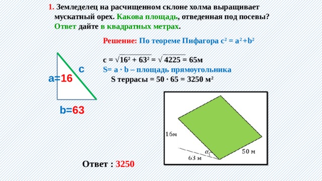 Земледелец выращивает мускатный орех какова