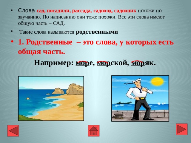 Слова сад, посадили,  рассада, садовод, садовник похожи по звучанию. По написанию они тоже похожи. Все эти слова имеют общую часть – САД.  Такие слова называются родственными 1. Родственные – это слова, у которых есть общая часть. Например: мор е, мор ской, мор як.   