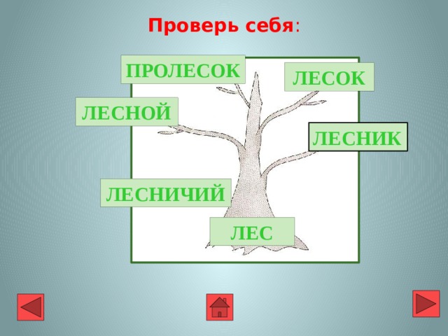 Проверь себя : ПРОЛЕСОК ЛЕСОК К ЛЕСНОЙ ЛЕСНИК ЛЕСНИЧИЙ ЛЕС  