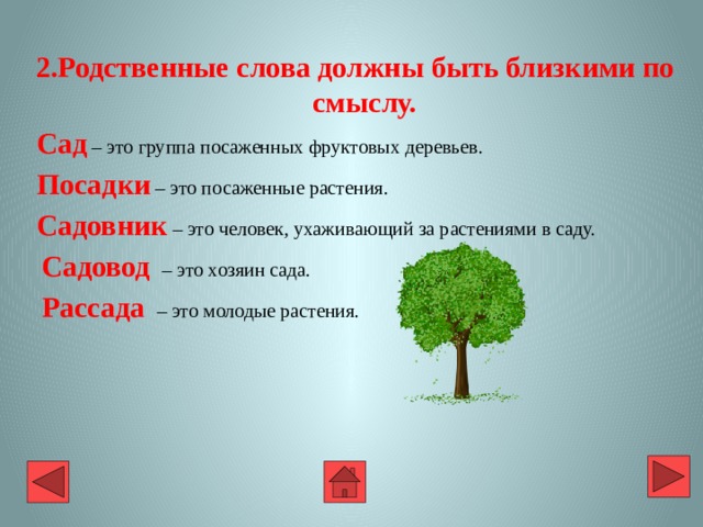  2.Родственные слова должны быть близкими по смыслу.  Сад – это группа посаженных фруктовых деревьев.  Посадки  – это посаженные растения.  Садовник – это человек, ухаживающий за растениями в саду.  Садовод – это хозяин сада.  Рассада – это молодые растения. 