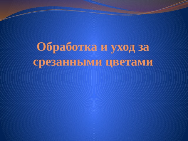 Обработка и уход за срезанными цветами 