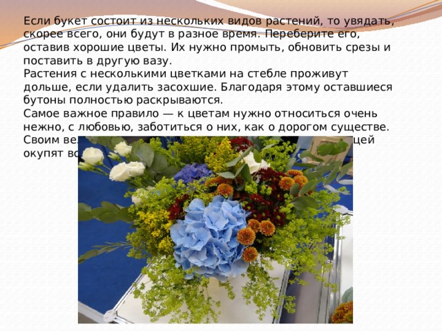 Если букет состоит из нескольких видов растений, то увядать, скорее всего, они будут в разное время. Переберите его, оставив хорошие цветы. Их нужно промыть, обновить срезы и поставить в другую вазу. Растения с несколькими цветками на стебле проживут дольше, если удалить засохшие. Благодаря этому оставшиеся бутоны полностью раскрываются. Самое важное правило — к цветам нужно относиться очень нежно, с любовью, заботиться о них, как о дорогом существе. Своим великолепием и отличным состоянием они сторицей окупят все ваши труды. 