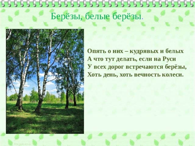 Берёзы, белые берёзы . Опять о них – кудрявых и белых А что тут делать, если на Руси У всех дорог встречаются берёзы, Хоть день, хоть вечность колеси. 