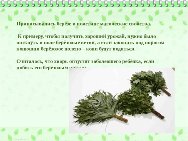 Приписывались берёзе и поистине магические свойства.   К примеру, чтобы получить хороший урожай, нужно было воткнуть в поле берёзовые ветви, а если закопать под порогом конюшни берёзовое полено – кони будут водиться.  Считалось, что хворь отпустит заболевшего ребёнка, если побить его берёзовым прутом. 