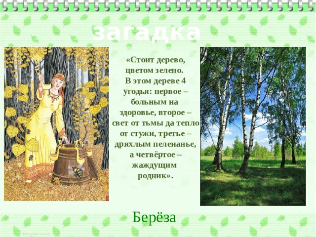 загадка «Стоит дерево, цветом зелено. В этом дереве 4 угодья: первое – больным на здоровье, второе – свет от тьмы да тепло от стужи, третье – дряхлым пеленанье, а четвёртое – жаждущим родник». Берёза 