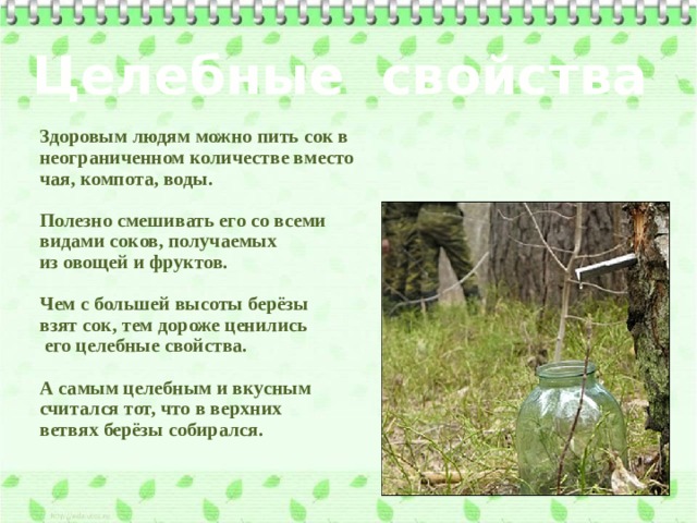 Целебные свойства Здоровым людям можно пить сок в неограниченном количестве вместо чая, компота, воды.  Полезно смешивать его со всеми видами соков, получаемых из овощей и фруктов.  Чем с большей высоты берёзы взят сок, тем дороже ценились  его целебные свойства.  А самым целебным и вкусным считался тот, что в верхних ветвях берёзы собирался. 