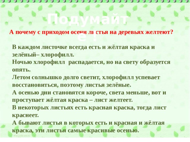 Подумайте ! А почему с приходом осени листья на деревьях желтеют?  В каждом листочке всегда есть и жёлтая краска и зелёный– хлорофилл. Ночью хлорофилл распадается, но на свету образуется опять. Летом солнышко долго светит, хлорофилл успевает восстановиться, поэтому листья зелёные. А осенью дни становятся короче, света меньше, вот и проступает жёлтая краска – лист желтеет. В некоторых листьях есть красная краска, тогда лист краснеет. А бывают листья в которых есть и красная и жёлтая краска, эти листья самые красивые осенью. 