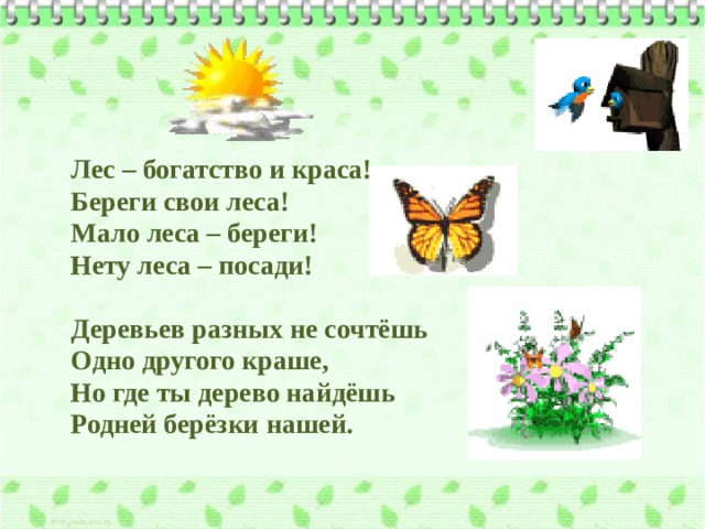Лес – богатство и краса! Береги свои леса! Мало леса – береги! Нету леса – посади!  Деревьев разных не сочтёшь Одно другого краше, Но где ты дерево найдёшь Родней берёзки нашей. 