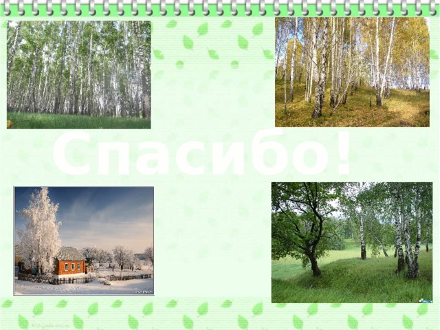Спасибо! 
