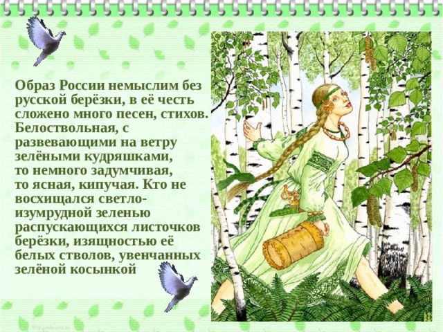 Образ России немыслим без русской берёзки, в её честь сложено много песен, стихов. Белоствольная, с развевающими на ветру зелёными кудряшками, то немного задумчивая, то ясная, кипучая. Кто не восхищался светло-изумрудной зеленью распускающихся листочков берёзки, изящностью её белых стволов, увенчанных зелёной косынкой 